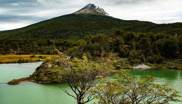 Tierra del Fuego National Park Tour - Foto 4