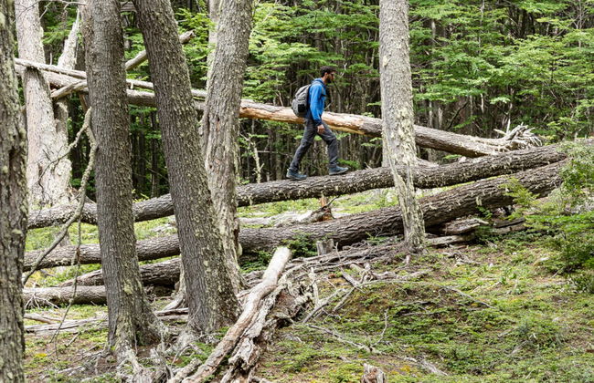 Trekking por el Parque Nacional Tierra del Fuego - Foto 2