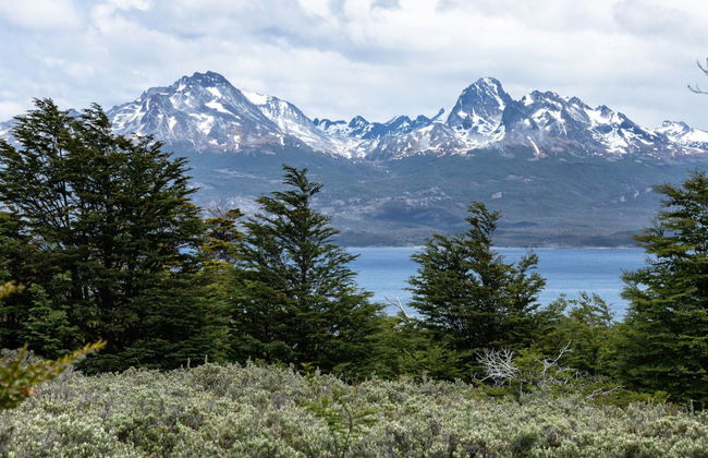 Trekking por el Parque Nacional Tierra del Fuego - Foto 4