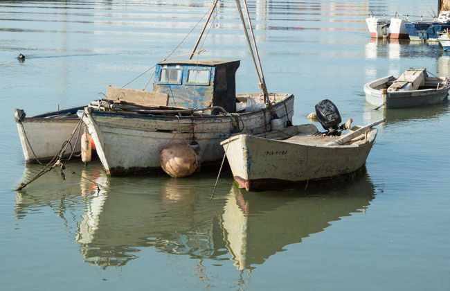 Visite privée dans El Puerto de Santa María, à vous de choisir - Photo 6
