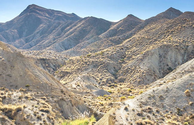 Tour en 4x4 por el desierto de Tabernas - Foto 9