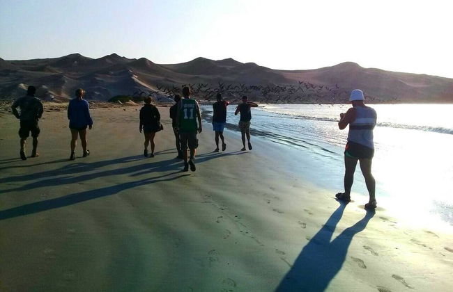 Randonnée au coucher du soleil dans la Réserve nationale de Paracas - Photo 2
