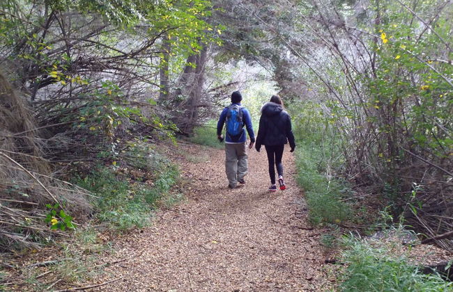 Trekking por el Cerro Llao Llao - Foto 3
