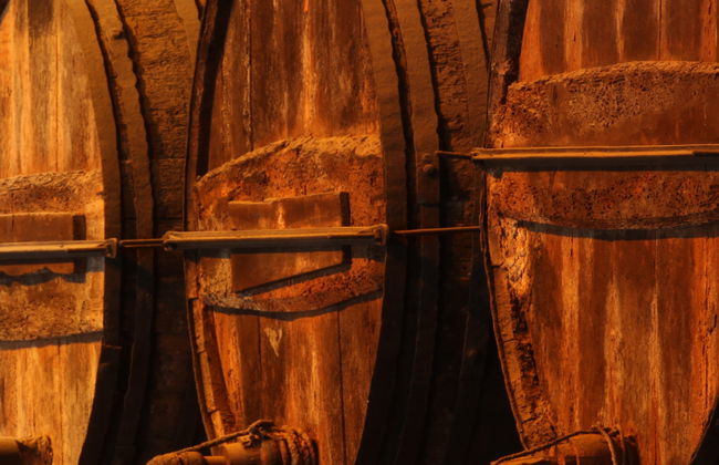 Visita a las bodegas Tío Pepe - Foto 6