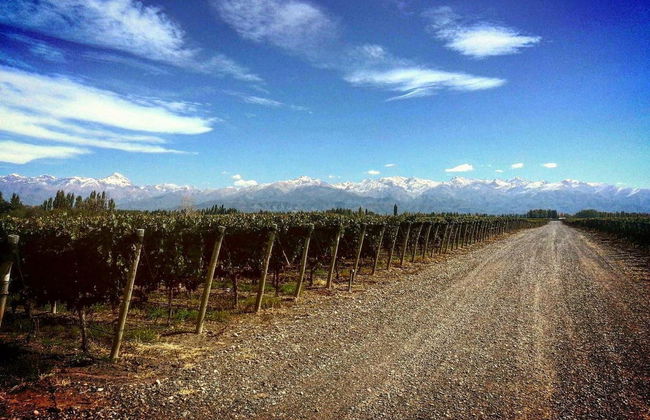 Maipu Wineries Private Tour - Foto 5