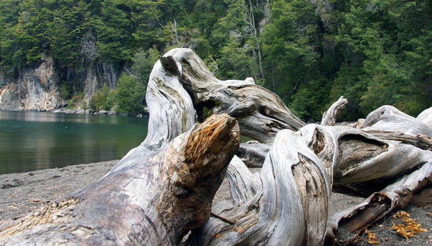 Tour privado por Bariloche - Foto 5