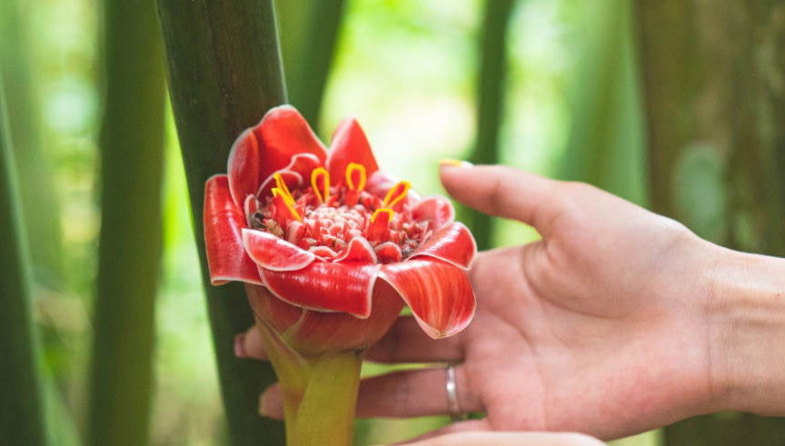Escursione al parco agroecoturistico Hagia Sofia