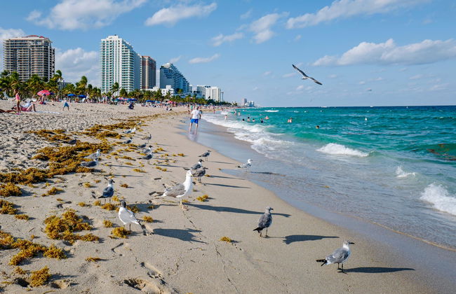 Parasailing en Fort Lauderdale - Foto 6