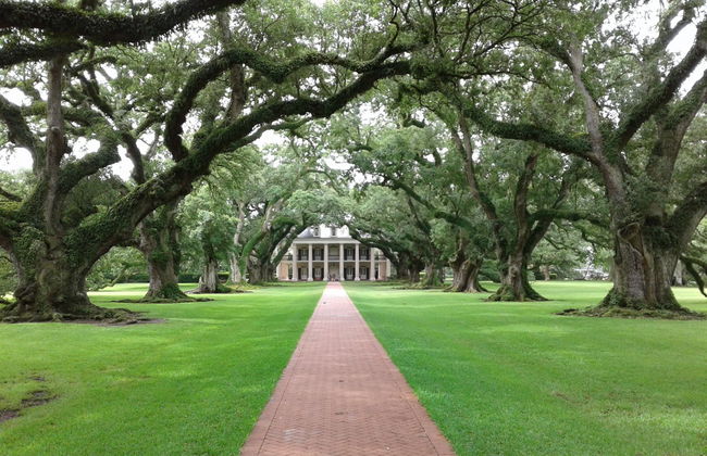 Oak Alley Plantation Tour - Foto 1