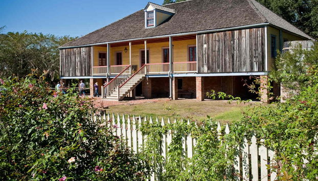 Excursión a la plantación Oak Alley - Foto 5