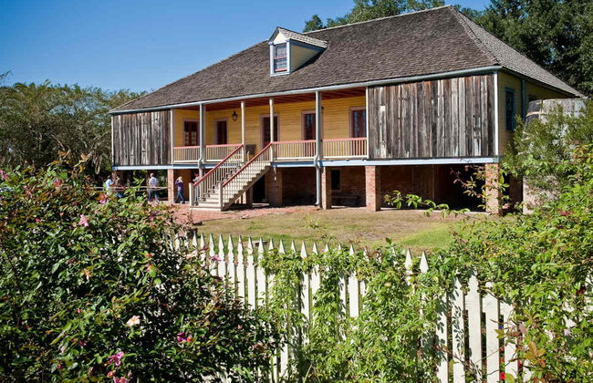 Excursión a la plantación Oak Alley - Foto 5