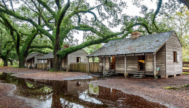 Excursión a la plantación Oak Alley - Foto 2