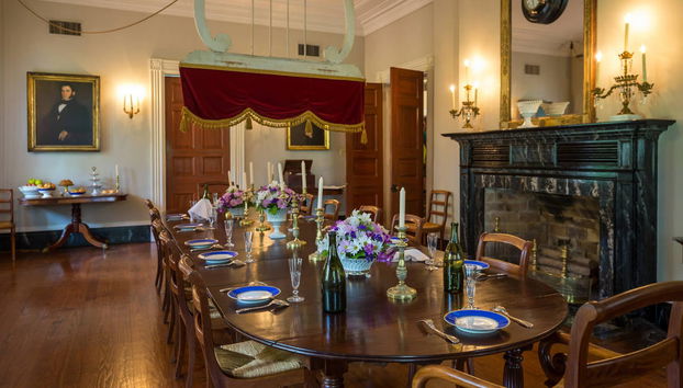 Excursión a la plantación Oak Alley - Foto 4