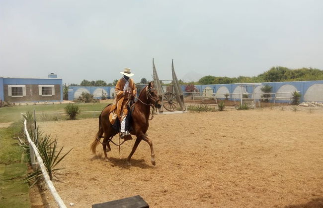 Chimu & Moche Cultures Tour + Marinera Show - Photo 2