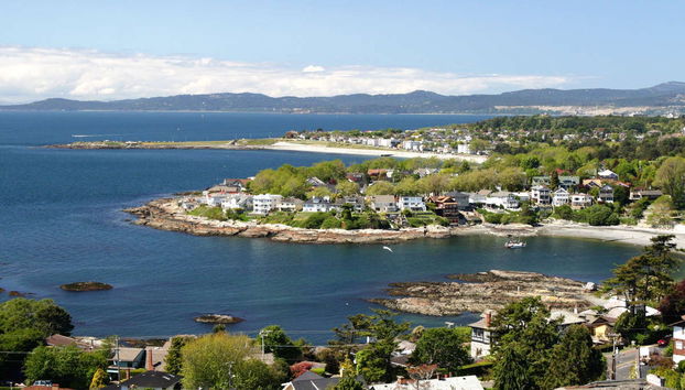 Avvistamento di balene al tramonto a Victoria - Foto 3