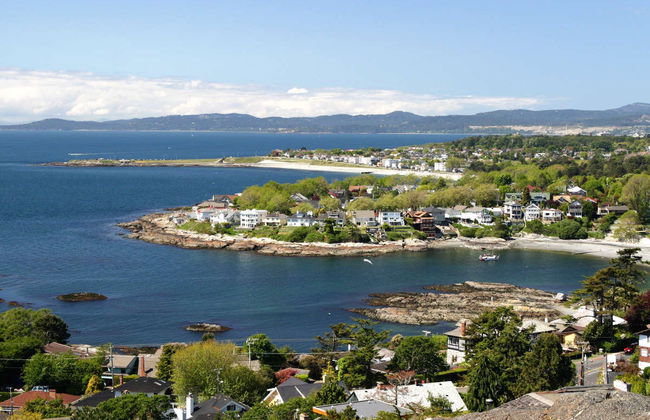 Avistamento de baleias de lancha - Foto 2