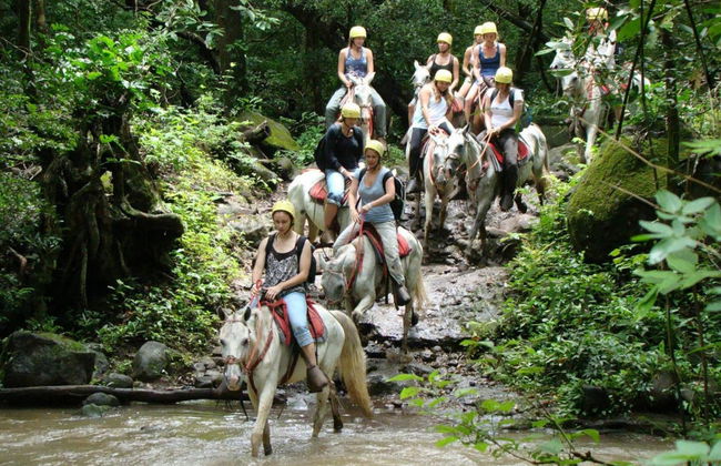 La Fortuna Waterfall Horseback Ride - Foto 3