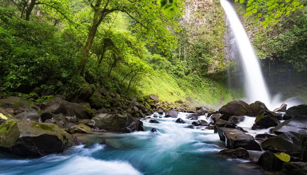 Escursione alla cascata La Fortuna e al vulcano Arenal - Foto 2