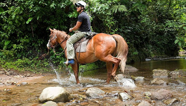 Passeio a cavalo à Catarata La Fortuna - Foto 2