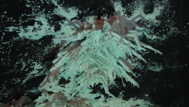 Excursión a la mina de sal de Nemocón - Foto 4