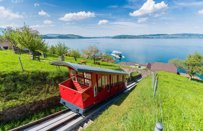 Excursion à Lucerne et Bürgenstock - Photo 6
