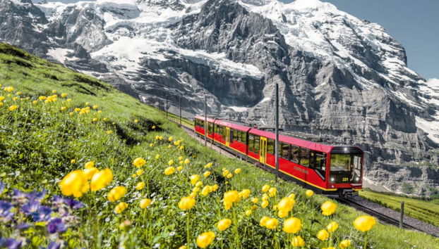 Excursion au Jungfrau - Photo 5