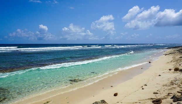 San Andres Caribbean Music Bus Tour - Foto 3