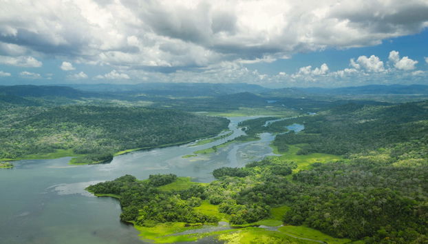 Excursión al canal de Panamá con visita a las esclusas de Agua Clara - Foto 2