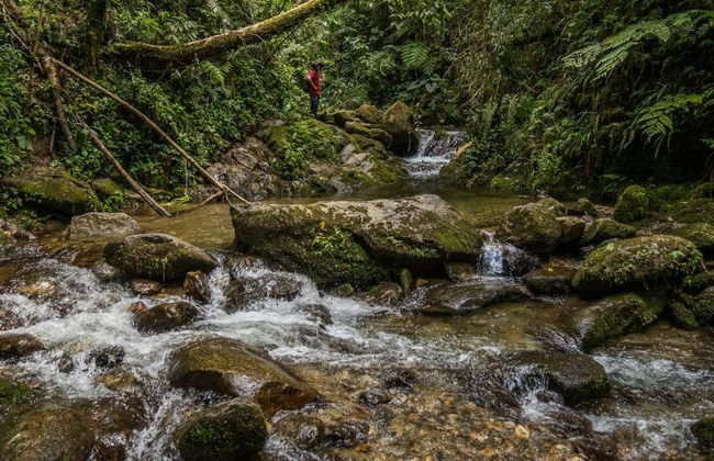 Escursione alla cascata Chorro de las Campanas - Foto 10