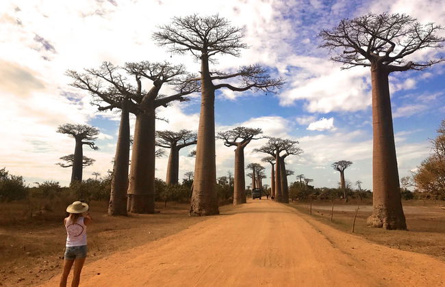 Visite de l'Allée des Baobabs au coucher de soleil - Photo 1
