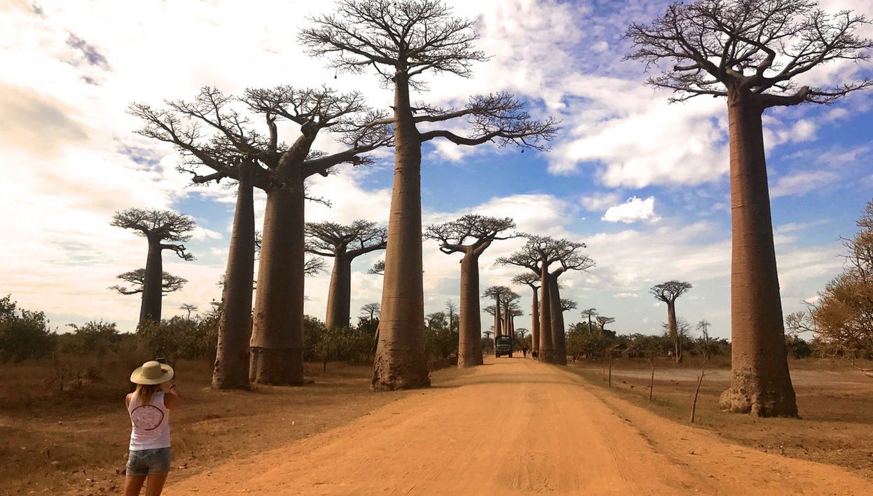 Visite de l'Allée des Baobabs au coucher de soleil - Photo 1