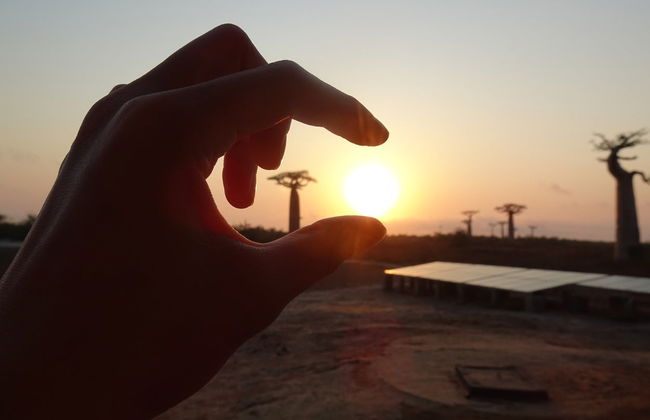 Visite de l'Allée des Baobabs au coucher de soleil - Photo 5