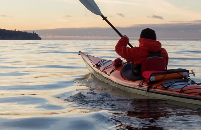 Tour en kayak por el Canal Beagle - Foto 4