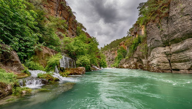 Green Lake Tour + Cruise - Photo 2