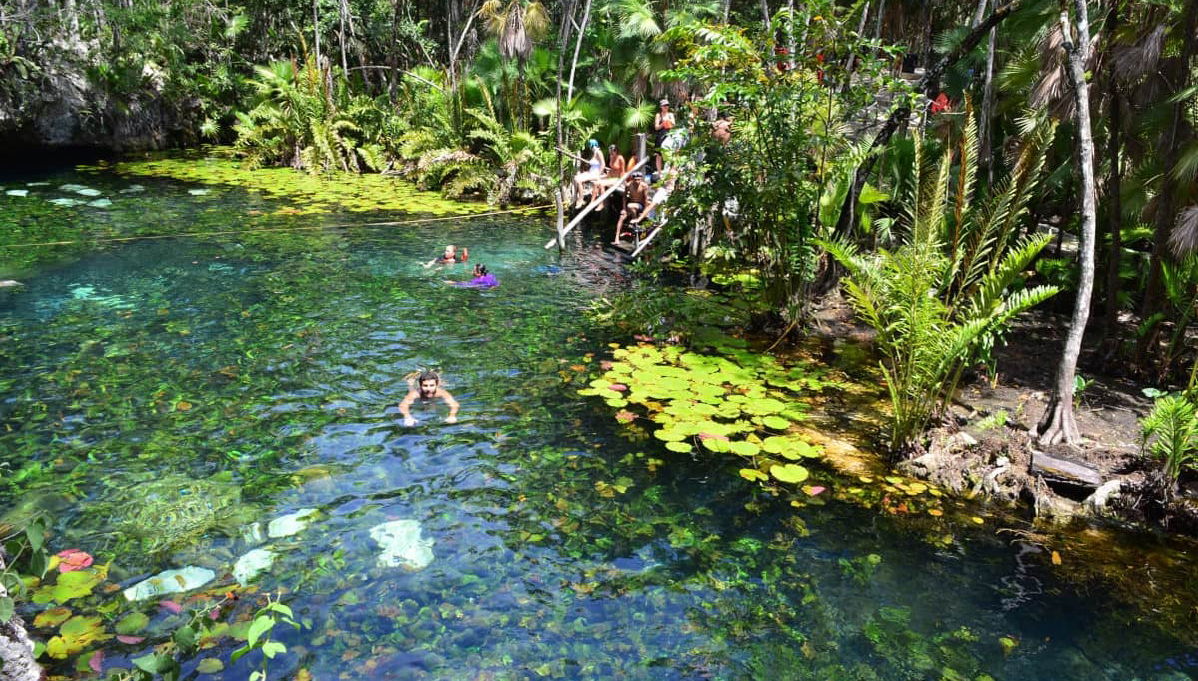 Tulum & Akumal Day Trip + Snorkelling in a Mayan Cenote - Foto 1