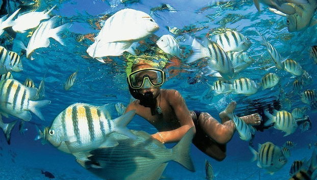 Excursão privada saindo da Riviera Maya - Foto 2