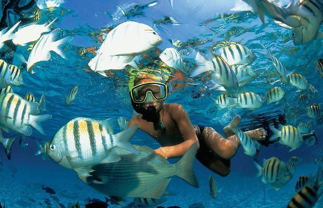 Excursión privada con guía desde Riviera Maya - Foto 2