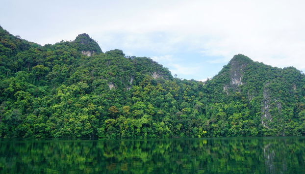 Excursion aux îles Langkawi - Photo 4