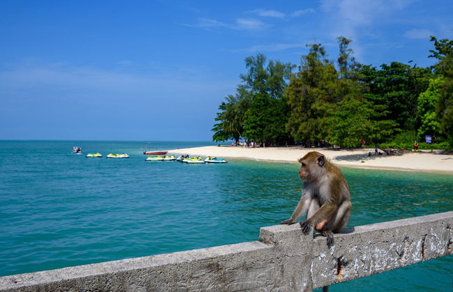 Excursion aux îles Langkawi - Photo 1