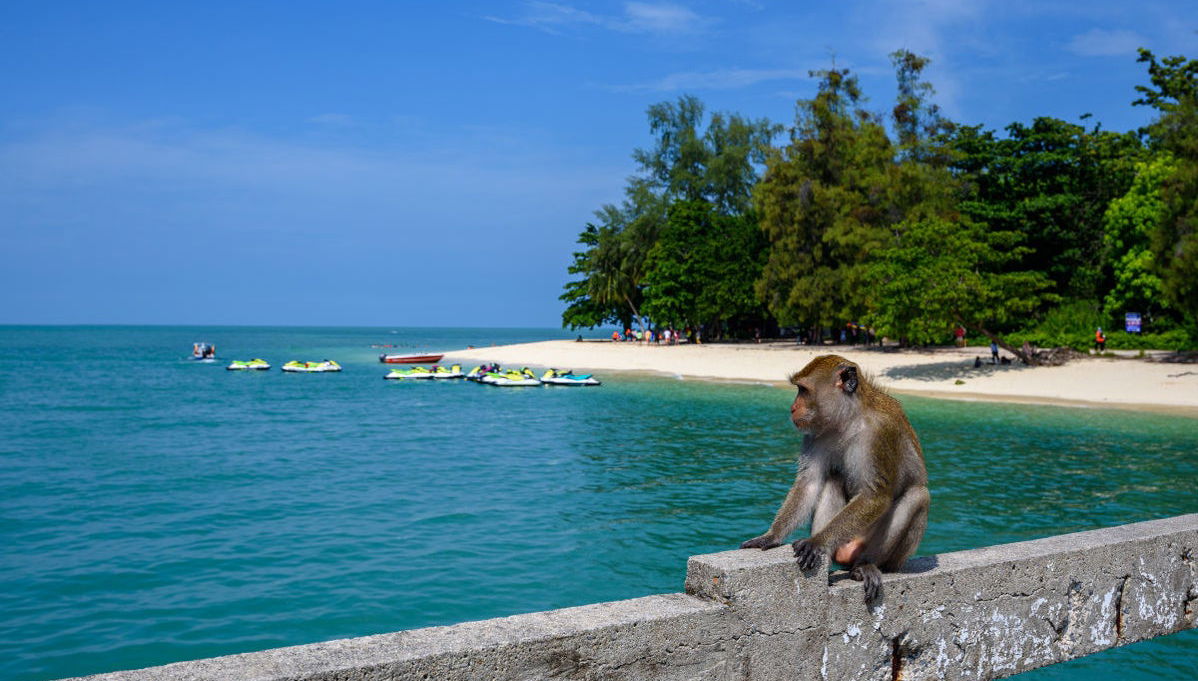 Excursion aux îles Langkawi - Photo 1
