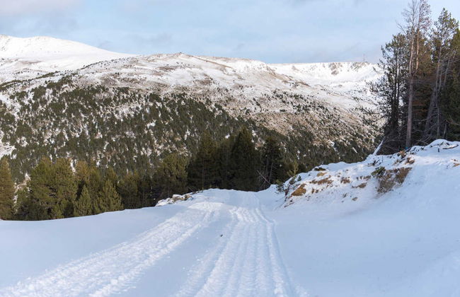 Costruzione di un iglù a Grandvalira - Foto 4