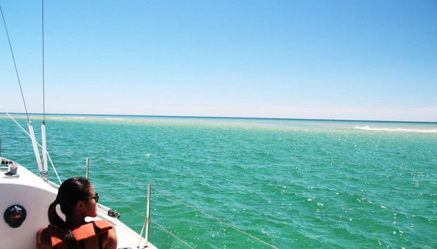 Paseo en velero por la Ría Formosa - Foto 5