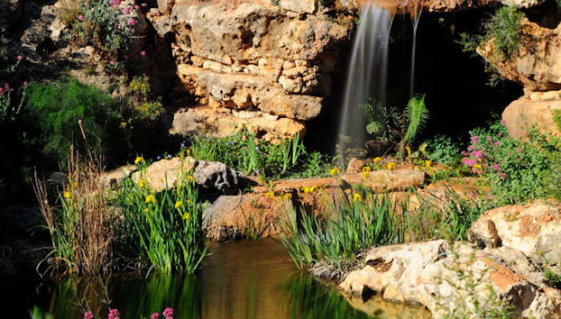 Entrada al Jardín de L’Albarda - Foto 4