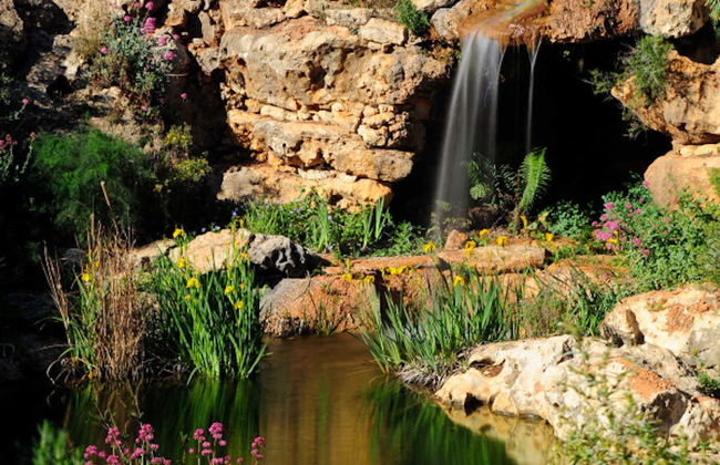 L’Albarda Garden Ticket - Photo 4