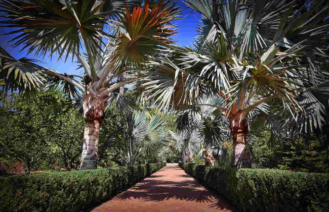 L’Albarda Garden Ticket - Photo 1