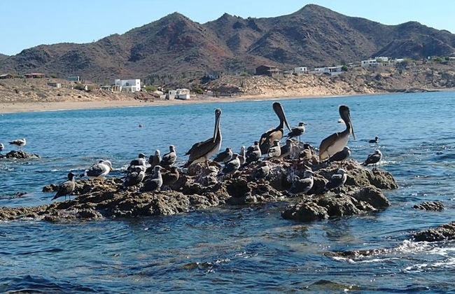 Excursión a la playa El Colorado - Foto 4