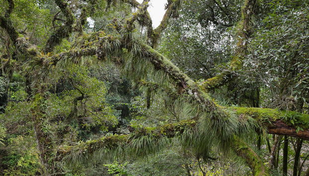 Tour en bicicleta por San Lorenzo - Foto 5