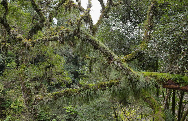 San Lorenzo Bike Tour - Photo 5