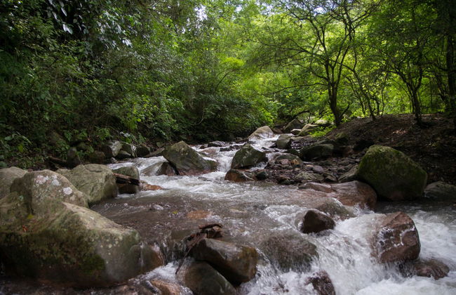 Hiking in San Lorenzo - Photo 2