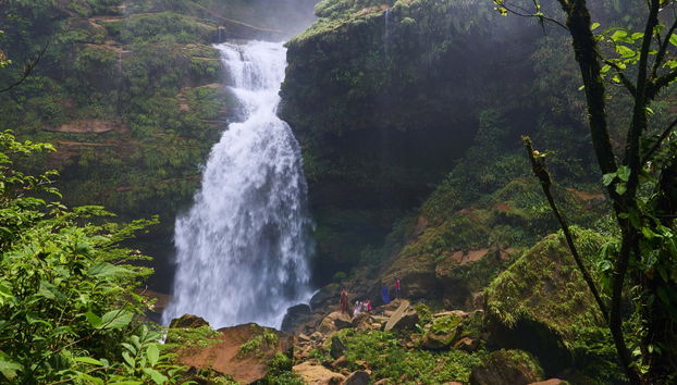 Perene Valley + Chanchamayo Waterfalls Tour - Photo 3
